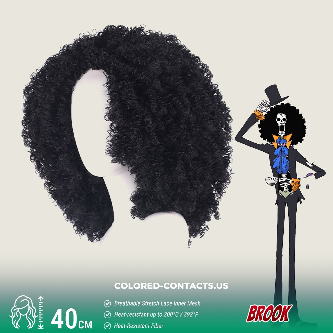 BROOK Cosplay Wig - image 1