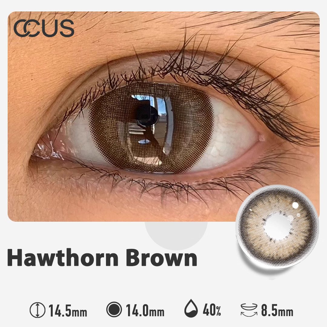 Hawthorn Brown - thumbnail 2