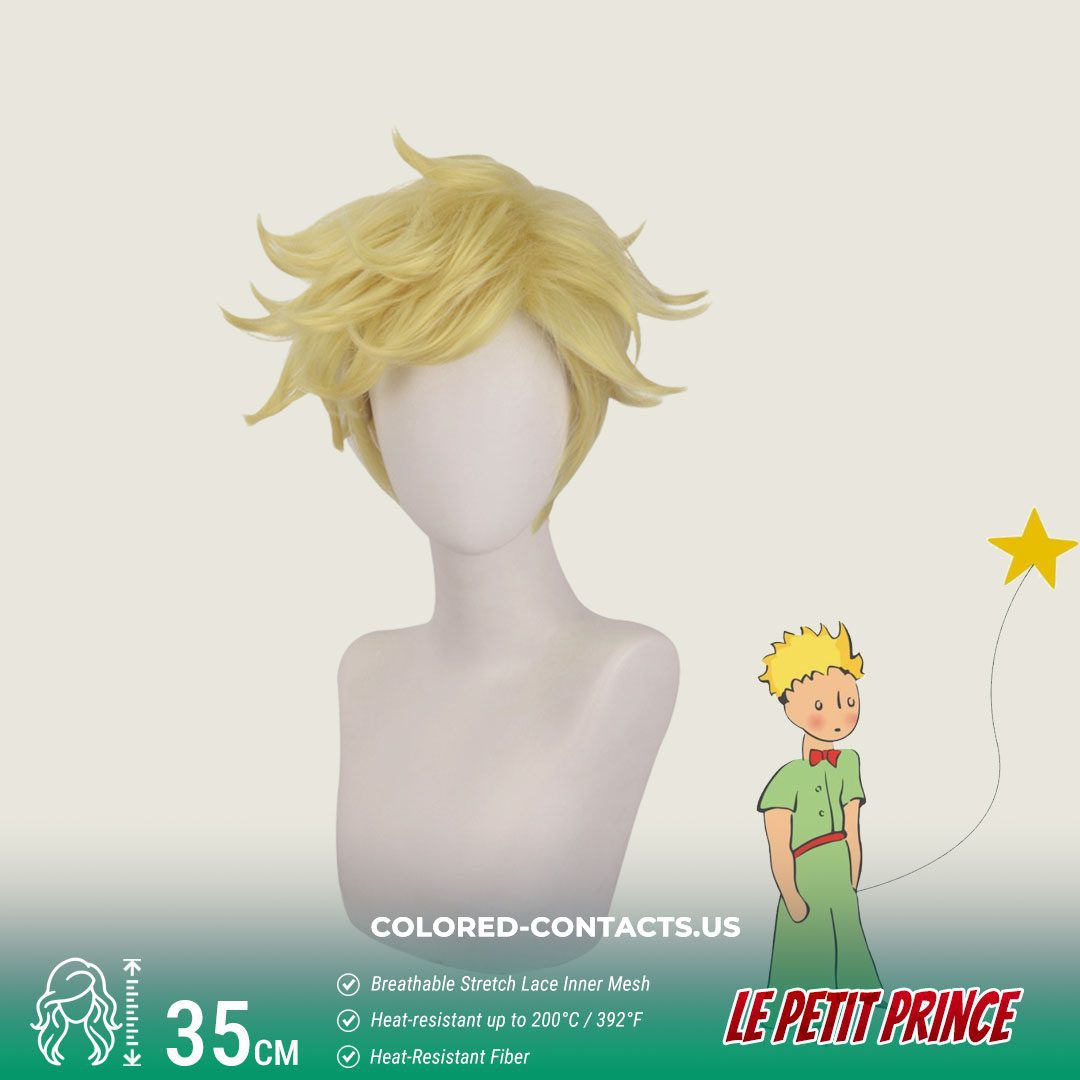 Le Petit Prince Cosplay Wig - image 1