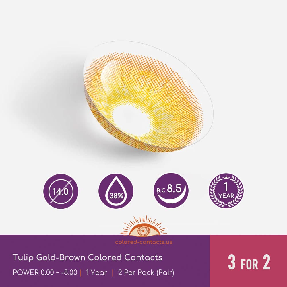 Tulip Gold-Brown Colored Contacts - thumbnail 2