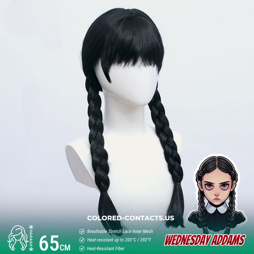 Wednesday Addams Cosplay Wig - image 1