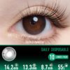Royal Dusty Pink Contact Lenses - thumbnail 1