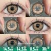 Egyptian Queen Brown Contact Lenses - thumbnail 1