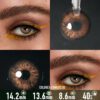 Flirting Brown Contact Lenses - thumbnail 1