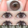 Honey Cream Brown Contact Lenses - thumbnail 1