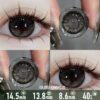 Queen Bee Dark Ray Contact Lenses - thumbnail 1