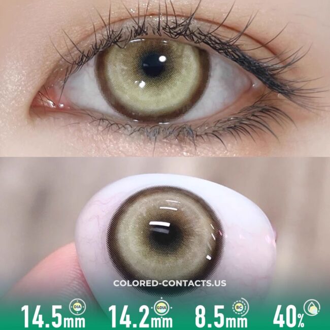 KOL Legend Brown Colored Contacts